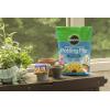 imageMiracleGro Moisture Control Potting Mix 8 qt Protects Against Over and Under Watering Container Plants 2Pack8 qt 2 Pack
