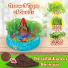 imageCreative Kids Miracle GRO Dinosaur Garden Kit MulticolorDinosaur Garden
