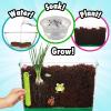 imageCreative Kids Miracle GRO Dinosaur Garden Kit MulticolorMy First Root Viewer