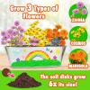 imageMiracle GRO My First Flower Growing Kit  Paint ampamp Plant Gardening Craft Kit for Kids Boys Girls  Easter Gifts for Kids Ages 6 7 8 9 10