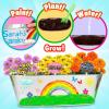 imageMiracle GRO My First Flower Growing Kit  Paint ampamp Plant Gardening Craft Kit for Kids Boys Girls  Easter Gifts for Kids Ages 6 7 8 9 10