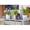 imageMiracleGro Performance Organics Edibles Plant Nutrition  Organic Plant Food Feeds Instantly for Tomatoes Vegetables Herbs and Fruits Promotes a Bountiful Harvest 1 lbBold Blooms