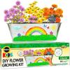 imageMiracle GRO My First Flower Growing Kit  Paint ampamp Plant Gardening Craft Kit for Kids Boys Girls  Easter Gifts for Kids Ages 6 7 8 9 10