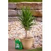 imageMiracleGro 3002910 Shake N Feed Continuous Release Palm Plant Food