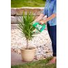 imageMiracleGro 3002910 Shake N Feed Continuous Release Palm Plant Food
