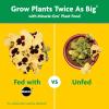 imageMiracleGro Garden Feeder with Water Soluble All Purpose Plant Food Hoseend Feeder for Outdoor Plants 1 lb1 Pack