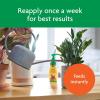 imageMiracleGro Indoor Plant Food Liquid Plant Food for Houseplants Snake Plants Peace Lilies Flowers Vegetables Herbs and More 8 oz 2Pack2 Pack