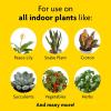 imageMiracleGro Indoor Plant Food Liquid Plant Food for Houseplants Snake Plants Peace Lilies Flowers Vegetables Herbs and More 8 oz 2Pack2 Pack