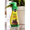 imageMiracleGro Indoor Plant Food Liquid Plant Food for Houseplants Snake Plants Peace Lilies Flowers Vegetables Herbs and More 8 oz 2Pack6 Pack