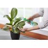 imageMiracleGro Leaf Shine 8Ounce Green2 Pack