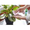 imageMiracleGro Leaf Shine 8Ounce Green2 Pack