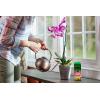 imageMiracleGro Orchid Plant Food SpikesPlant Food