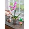 imageMiracleGro Orchid Plant Food SpikesPlant Food