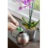 imageMiracleGro Orchid Plant Food SpikesPlant Food