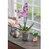 imageMiracleGro Orchid Plant Food SpikesPlant Food