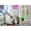imageMiracleGro Orchid Plant Food SpikesPlant Food