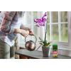 imageMiracleGro Orchid Plant Food SpikesPlant Food