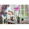 imageMiracleGro Orchid Plant Food SpikesPlant Food
