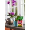imageMiracleGro Orchid Plant Food SpikesPlant Food