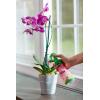 imageMiracleGro Orchid Plant Food SpikesPlant Food Mist