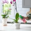 imageMiracleGro Orchid Plant Food SpikesPlant Food Mist
