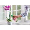 imageMiracleGro Orchid Plant Food SpikesPlant Food Mist