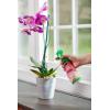 imageMiracleGro Orchid Plant Food SpikesPlant Food Mist