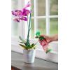 imageMiracleGro Orchid Plant Food SpikesPlant Food Mist
