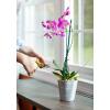 imageMiracleGro Orchid Plant Food SpikesPlant Food Spikes