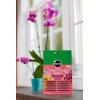 imageMiracleGro Orchid Plant Food SpikesPlant Food Spikes