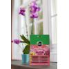 imageMiracleGro Orchid Plant Food SpikesPlant Food Spikes