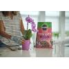 imageMiracleGro Orchid Plant Food SpikesPotting Mix