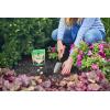 imageMiracleGro Quick Start Planting Tablets564 Ounce Pack of 1