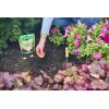 imageMiracleGro Quick Start Planting Tablets564 Ounce Pack of 1