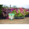 imageMiracleGro Quick Start Planting Tablets564 Ounce Pack of 1
