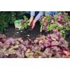 imageMiracleGro Quick Start Planting Tablets564 Ounce Pack of 1