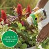 imageMiracleGro Shake N Feed All Purpose Plant Food For InGround and Container Plants Feeds for up to 3 Months 45 lbs1 lb