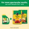 imageMiracleGro Shake N Feed All Purpose Plant Food For InGround and Container Plants Feeds for up to 3 Months 45 lbs45 lb