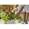 imageMiracleGro Shake N Feed All Purpose Plant Food For InGround and Container Plants Feeds for up to 3 Months 45 lbs45LBS
