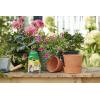 imageMiracleGro Shake N Feed All Purpose Plant Food For InGround and Container Plants Feeds for up to 3 Months 45 lbs45LBS