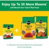 imageMiracleGro Water Soluble All Purpose Plant Food Plant Fertilizer for Indoor or Outdoor Plants Roses Flowers Houseplants Vegetables and Trees 10 lb10 lb