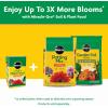 imageMiracleGro Water Soluble All Purpose Plant Food Plant Fertilizer for Indoor or Outdoor Plants Roses Flowers Houseplants Vegetables and Trees 10 lb3 lb