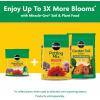 imageMiracleGro Water Soluble All Purpose Plant Food Plant Fertilizer for Indoor or Outdoor Plants Roses Flowers Houseplants Vegetables and Trees 10 lb5 lb