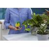 imageMiracleGro Water Soluble All Purpose Plant Food Plant Fertilizer for Indoor or Outdoor Plants Roses Flowers Houseplants Vegetables and Trees 10 lb5 lb