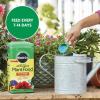 imageMiracleGro Water Soluble All Purpose Plant Food Plant Fertilizer for Indoor or Outdoor Plants Roses Flowers Houseplants Vegetables and Trees 10 lb55 lb