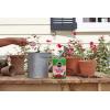 imageMiracleGro Water Soluble Rose Plant Food 15 lb15 lb