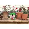 imageMiracleGro Water Soluble Rose Plant Food 15 lb15 lb