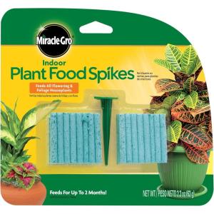 imageMiracleGro Indoor Plant Food Spikes Includes 48 Spikes  Continuous Feeding for all Flowering and Foliage Houseplants  NPK 6126 Pack of 1