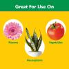 imageMiracleGro Shake n Feed Extended Boost Fertilizer for Plants Feeds Up to 6 Months 3 lbs