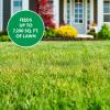 imageMiracleGro Water Soluble Lawn Food 5 lb5 lb